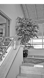 Betriebsgebäude mit Wohung